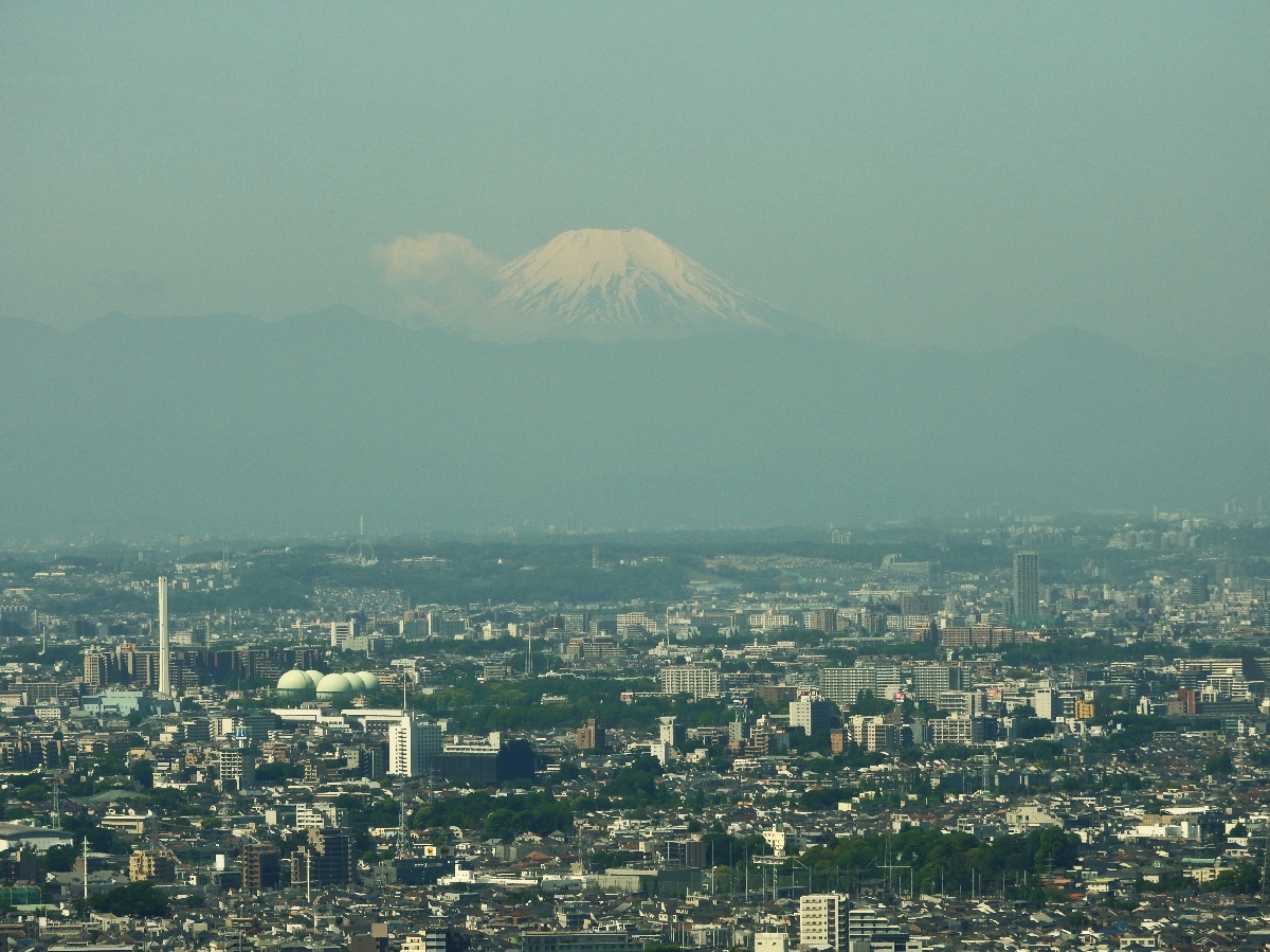 54 TOKYO Monte Fuji